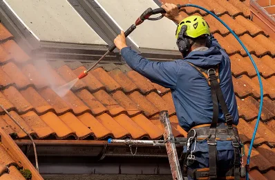 Démoussage et hydrofuge de toiture à Bun